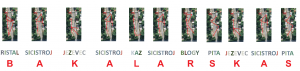 garaze_ftest
